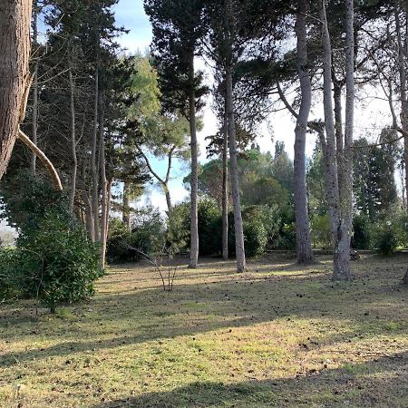 Apartament Eden Monolocale Torre Dell Orso Torre dell'Orso Zewnętrze zdjęcie