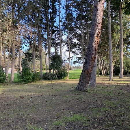 Apartament Eden Monolocale Torre Dell Orso Torre dell'Orso Zewnętrze zdjęcie